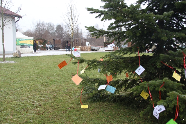 2015 Wunscherfülleraktion